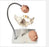 Nasco Healthcare - Pelvic Bone w/Fetal Heads - 110-195