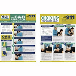 Nasco Learning ZoneXpress First Aid Posters The CPR Approach - SB50105G
