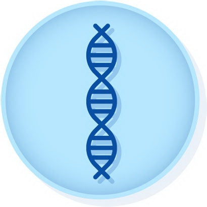 Microbiologics Inc Molecular Diagnostic Control Norovirus GII.4 Synthetic RNA - HE0012S