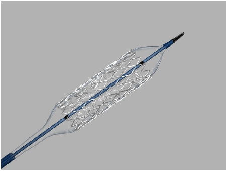 Cook Medical Formula 418 Renal Balloon Expandable Stent 6 Fr. Sheath / 7 Fr. Guiding Catheter 20 cm Stainless Steel - G56617
