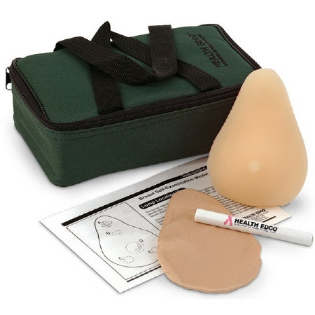Nasco TrueForm Standard BSE Model Female - SB52462