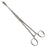 Sponge Forceps