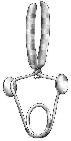 Penis Seizing Forceps