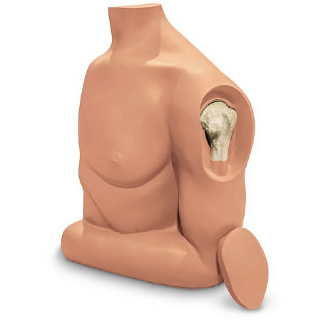 Nasco Simulaids Humerus Intraosseous (IO) Trainer 32 lbs. - 101-205
