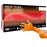 MICROFLEX Blaze - Exam Glove X-Large NonSterile Nitrile Standard Cuff Length Textured Fingertips Orange Not Chemo Approved - N484