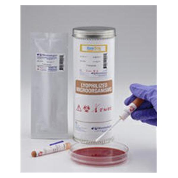 Troy Biologicals Kwik-Stik Control Organism Strep Pyogenes Atcc 19615 2/Pk - 0385P