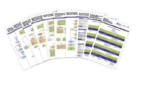 Laerdal Medical PALS Poster Set Pals Poster Set AHA - 15-1049