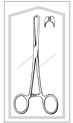 Econo - Tissue Forceps Allis 7-1/4 Inch Length Floor Grade Pakistan Stainless Steel Sterile Finger Ring Handle Straight 6 X 7 Teeth - 96-2774