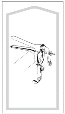 Econo - Vaginal Speculum Pederson Sterile Floor Grade Stainless Steel Small Double Blade Duckbill Disposable Without Light Source Capability - 96-2612