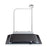 Seca Scales Scale Platform 800Lb Capacity 31-1/2X1.8X33-1/2" Ea - 6761321108