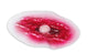 Nasco Wound - Bladder 0.25 lbs. - 800-833