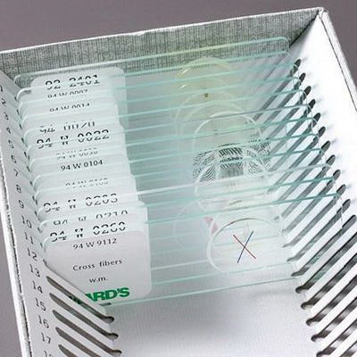 VWR International SLIDE SET, PARASITOLOGY MEDICAL (100/EACH) - 470183-548