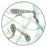 Scientific Device Lab - Mycology Teaching Slide 1 X 3 Inch Plain - 675-01