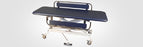 Armedica Mfg Corporation AM-SX Series Hi-Lo Treatment Table Blue 11 Gauge Steel Tubing - AMSX1072