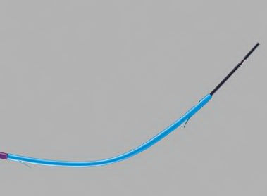 OASIS - Preloaded Biliary Stent Oasis 10 Fr. 12 cm - G25382
