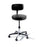Ritter 275 Classic Series - Manual Screw Adjust Stool Backrest Screw Adjust, Manual, Pneumatic Seat Height Adjustment 5 Casters Mist - 275-001-813