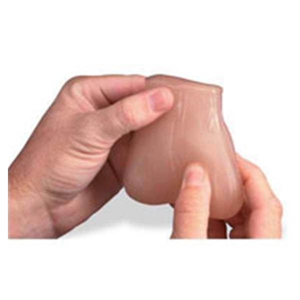 Nasco Company 2 Lumps In 2 Testicle Model Anatomical Each - SB41581U