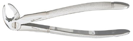 Miltex - Extracting Forceps English 4-1/2 Inch Length OR Grade German Stainless Steel NonSterile NonLocking Plier Handle Curved Smooth Beaks - DEF33