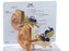 Nasco Nasco Human Ear Model Male - SB32980