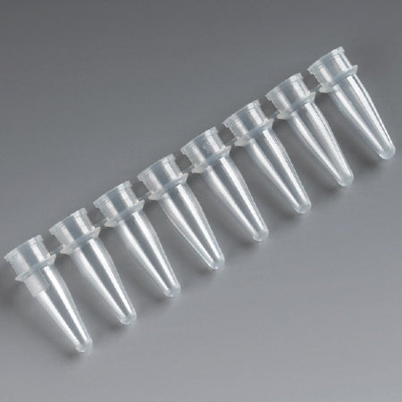 Globe Scientific PCR Tube Conical Bottom Plain 200 µL Without Color Coding Without Closure Polypropylene Tube - 110575B