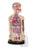 Nasco American Educational Products Functioning Torso - SA09141