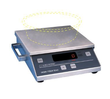Welch Allyn Food / Lab Scale Digital Display 3000 gram Stainless Steel AC Adapter / Battery Operated - 4302-XK-B