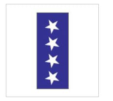 Key Surgical Key Surgical Pre-Printed Label Chart Tab Star Symbol Blue 8-1/2 X 11 Inch - T-703-06