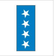 Key Surgical Key Surgical Pre-Printed Label Chart Tab Star Symbol Light Blue 8-1/2 X 11 Inch - T-703-02