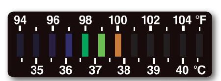 FeverScan - Disposable Forehead Thermometer 35 to 41 °C / 94 to 105 °F Line Indicator Display - 492