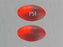 Major - Stool Softener Gelcap 1,000 per Bottle 100 mg Strength Docusate Sodium - 00536106210