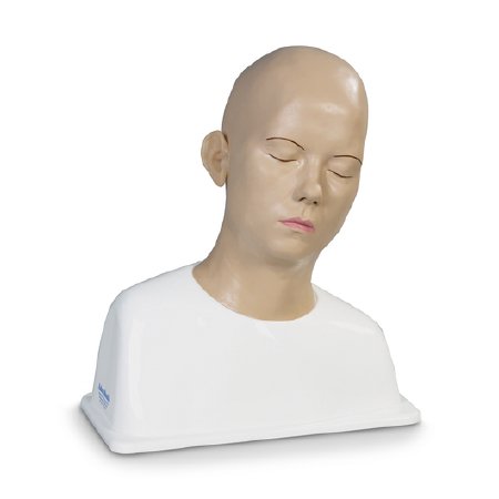 Adam Rouilly LTD - Ear Syringing Trainer Manikin 4.75 lbs. - SB38893