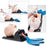 Airway