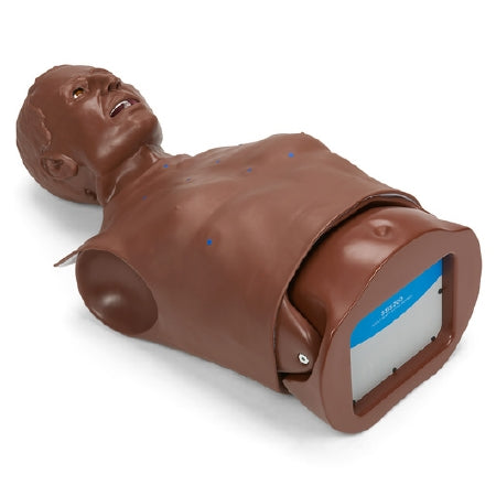 Nasco Gaumard HAL Heart and Lung Torso Unisex Adult 43 lbs. - SB51791D