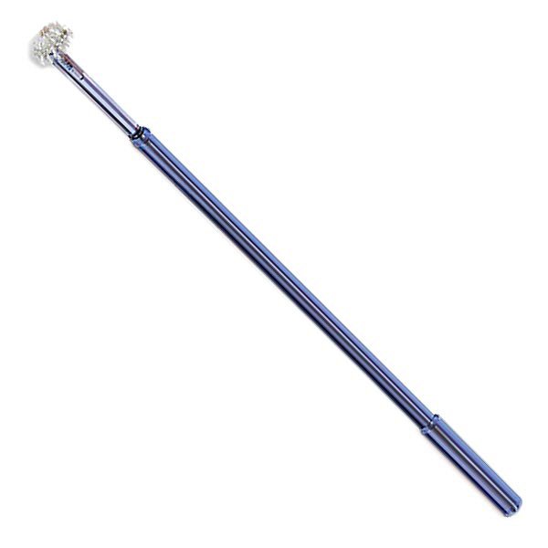 Cytology Brush