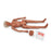 Nasco Life/Form Basic GERi Manikin Male / Female Interchangeable Adult - Geriatric 35 lbs. - LF04115