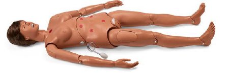 Nasco Gaumard Susie/Simon Hospital Training Manikin Male / Female Interchangeable Adult 46 lbs. - SB20142M