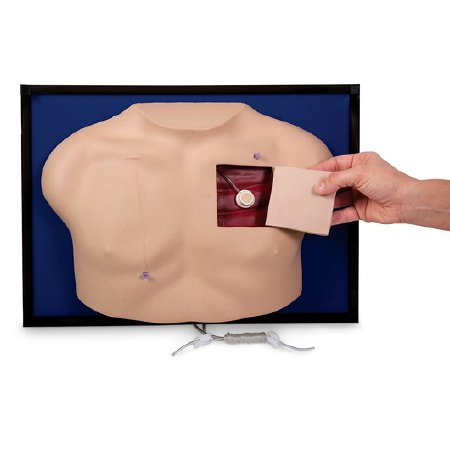 Health Edco - Venous Access Device Model Urethane Foam - SB23493