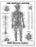 Anatomical Chart Company Anatomical Chart Nervous System 20 X 26 Inch Wall Mount Laminated - 9781587790447