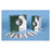 X-Rite Company Tape X-Ray For Strips 300/Bx - 175-HP