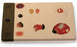 ‘Pat’ Pressure Ulcer Model - Pressure Ulcer Model 5-1/2 lbs. - SB46506