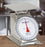 T Series - Food / Lab Scale Dial Display 55 lbs. Capacity White Analog - T-25-KP