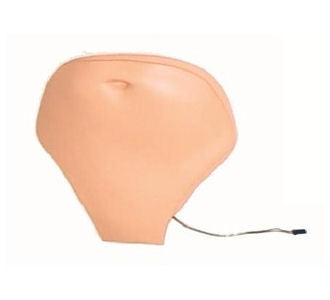 Laerdal - Replacement Abdominal Plate Gender Neutral Adult - 300-02050