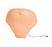 Laerdal - Replacement Abdominal Plate Gender Neutral Adult - 300-02050
