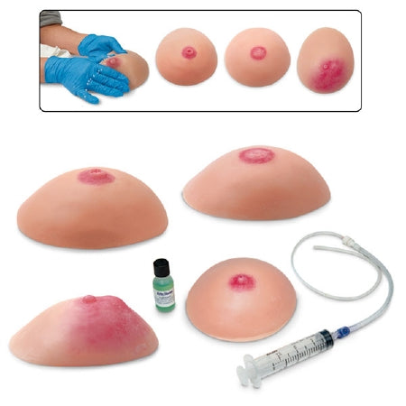 Life/Form - Breast Self-Examination Model Set Life/form Female Adult - LF00864