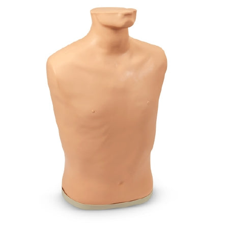 Life/Form - Additional Torso Manikin - LF01145