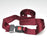 McKesson McKesson Stretcher Strap - 11152BK
