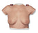American 3B Scientific - Breast Self-Examination Model Female Adult 16 lbs. Silicone - SB41504