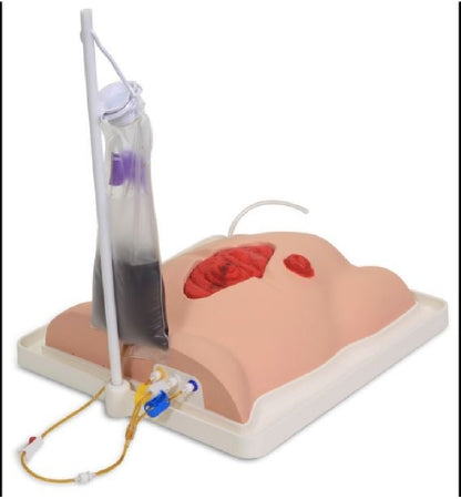 Nasco Freddie Fistula Fistula Skills Trainer 10 lbs. - SB51931