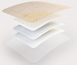 Foam Dressing