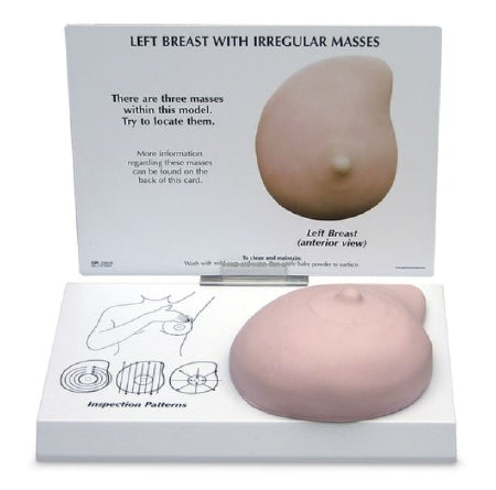 Nasco Galloway Plastics Breast Model Female Full-Size Left Breast 2-1/4 lbs. - SB52334